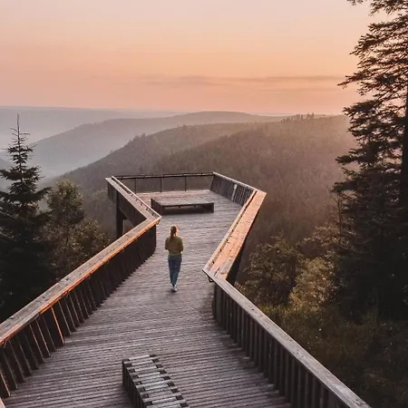 Tannenhonig Im Schwarzwald Nahe Freudenstadt *