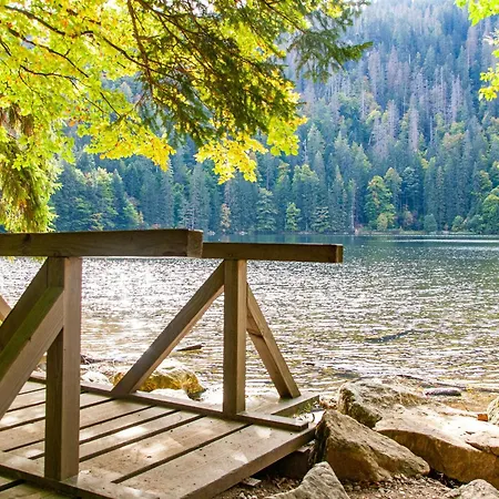Tannenhonig Im Schwarzwald Nahe Freudenstadt